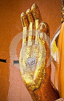 Buddha hand