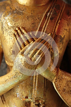 Buddha hand photo