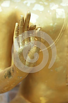 Buddha hand