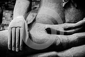 Buddha Hand and Buddha Statue at Ayutthaya city