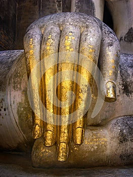 Buddha Hand Down