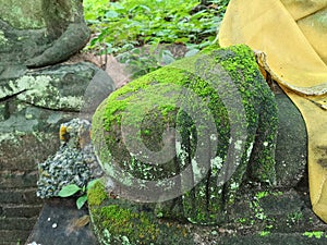 Buddha hand sculpture covered with moss in green nature, antique and vestige in Asia photo