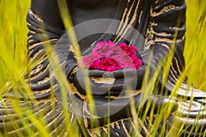 Buddha hands with red flowers