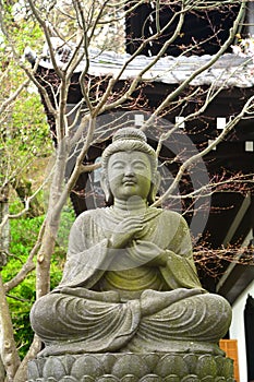 The Buddha at Hase Dera Buddhist Temple, Kamakura, Japan