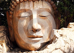 Buddha Head