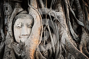 Buddha Head in Banyan Tree Roots at Wat Mahathat Temple in Ayutthaya Historical Park, Thailand