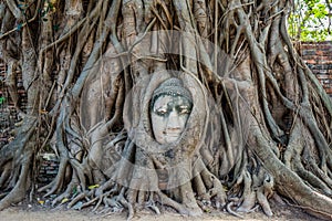 Buddha Head banyan tree Wat Mahathat Ayutthaya bangkok thailand photo