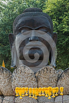 buddha head lotus flower Wat Thammikarat temple Ayutthaya bangkok Thailand