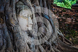 Buddha head overgrown with tree roots, Wat mahathat Ayutthaya, T
