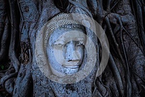 Buddha head overgrown with tree roots, Wat mahathat Ayutthaya, T