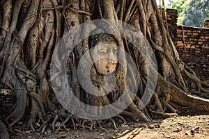 Buddha head overgrown by tree roots in Wat Mahathat, Ayutthaya, Thailand