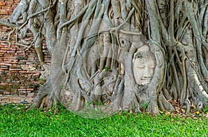 Buddha Head statue with trapped in Bodhi Tree roots at Wat Mahathat