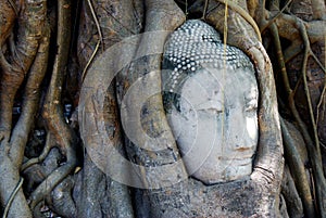 Buddha head in three roots in the Wat Mahathat temple in Ayutthaya, UNESCO World Heritage Site