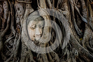 Buddha head in tree root in Mahathat temple,Ayutthaya Historical