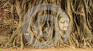 Buddha head in the tree roots.