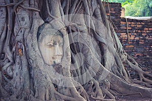 Buddha head in tree roots , Ayutthaya , Thailand