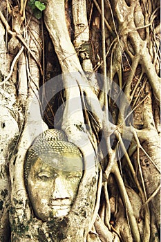 Buddha Head in Tree Roots in Wat Mahathat, Ayutthaya, Thailand.Phra Nakhon Sri Ayutthaya is the Unesco world heritage