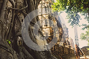 Buddha Head in Tree Roots, Wat Phra Mahathat temple, Ayutthaya, Thailand