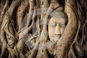 Buddha Head Tree Wat Maha That Ayutthaya. buddha statue trapped in Bodhi Tree roots. Ayutthaya historical park