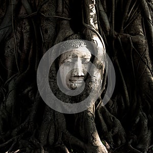 Buddha head in Tree at Wat Mahathat, Ayutthaya, Thailand