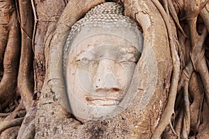 Buddha Head in the Wat Maha That temple in Ayutthaya, Thailand