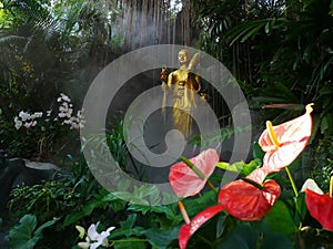 Buddha image