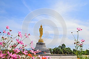 Buddha image with beauty sky
