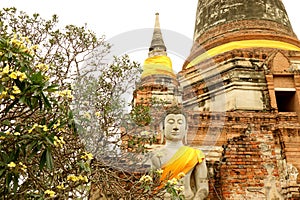 Buddha Image in front of the Stupa with Plumeria Flowering Tree in Foreground, Wat Yai Chai Mongkhon Temple, Ayutthaya