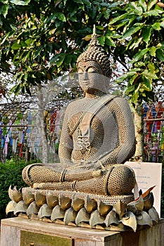 Buddha image made from nut.