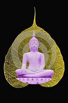 Buddha image and pipal leaf are Buddhist symbol