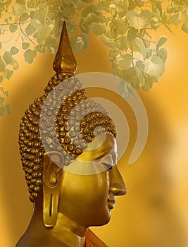 The Buddha image represents the Buddha as the center and anchor of the mind.