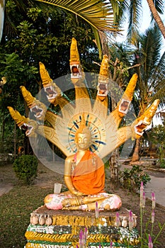 Buddha image at Wat That Luang