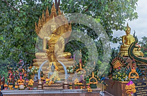 Buddha images that people worship