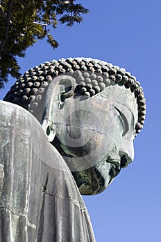 Buddha of Kamakura in Japan