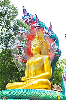Buddha with king of naga 01