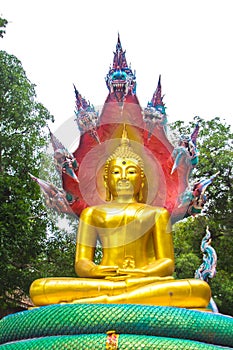 Buddha with king of naga 02
