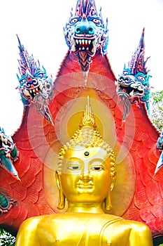 Buddha with king of naga 04