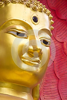 Buddha with king of naga 06