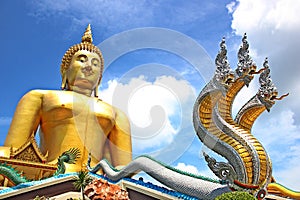Buddha with King of Nagas