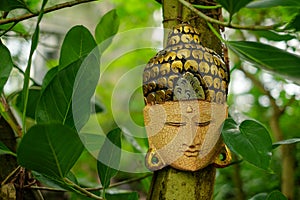Buddha mask face on the tree near India temple