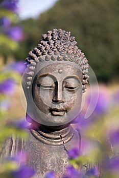 Buddha Meditation