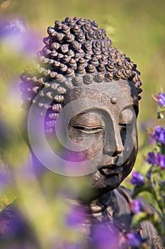 Buddha Meditation