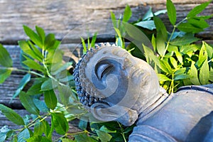 Buddha Meditation