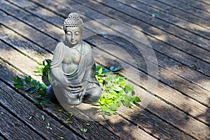 Buddha Meditation