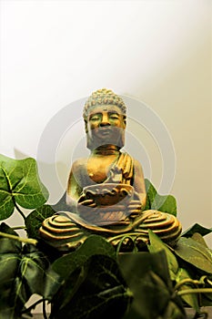 BUDDHA, meditation, peace, prayer,