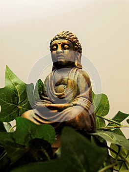 BUDDHA, meditation, peace, prayer, photo