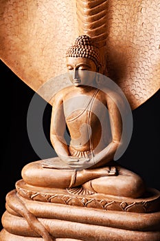 Buddha in a meditation pose, under protection of the Muchalinda