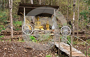 The Buddha is in the middle of the forest on the mountain and has a wooden bridge for the walk to worship