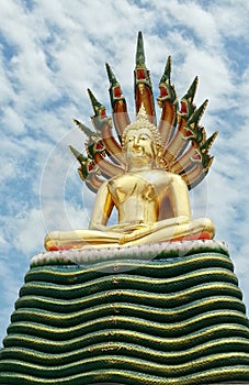 Buddha with naga photo