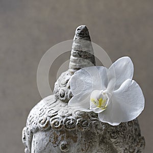 Buddha with orchid